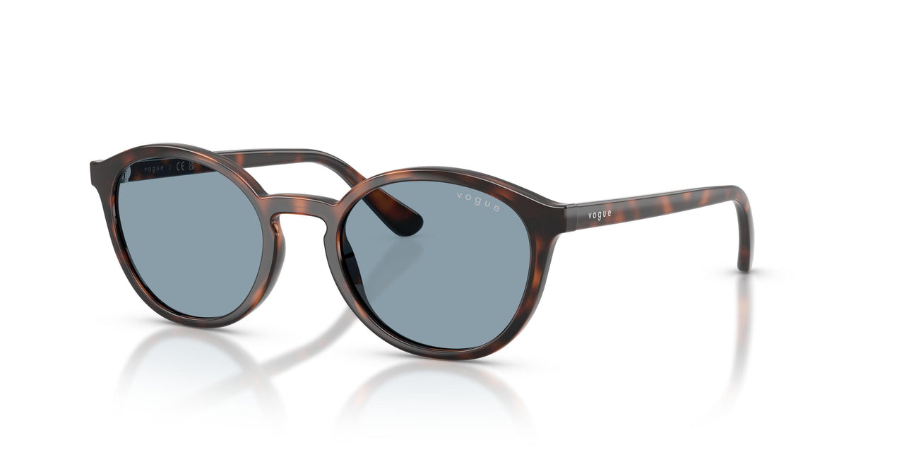 271880 - Brown - Light Blue