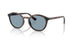 271880 - Brown - Light Blue