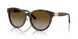 5002T5 - Tortoise - Brown Gradient Polar