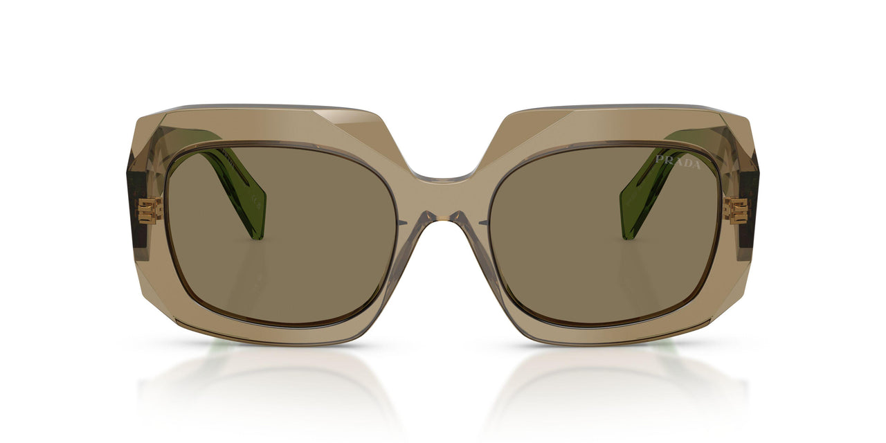 29E90F - Brown - Light Brown