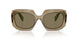 29E90F - Brown - Light Brown
