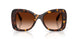 100274 - Tortoise - Gradient Brown