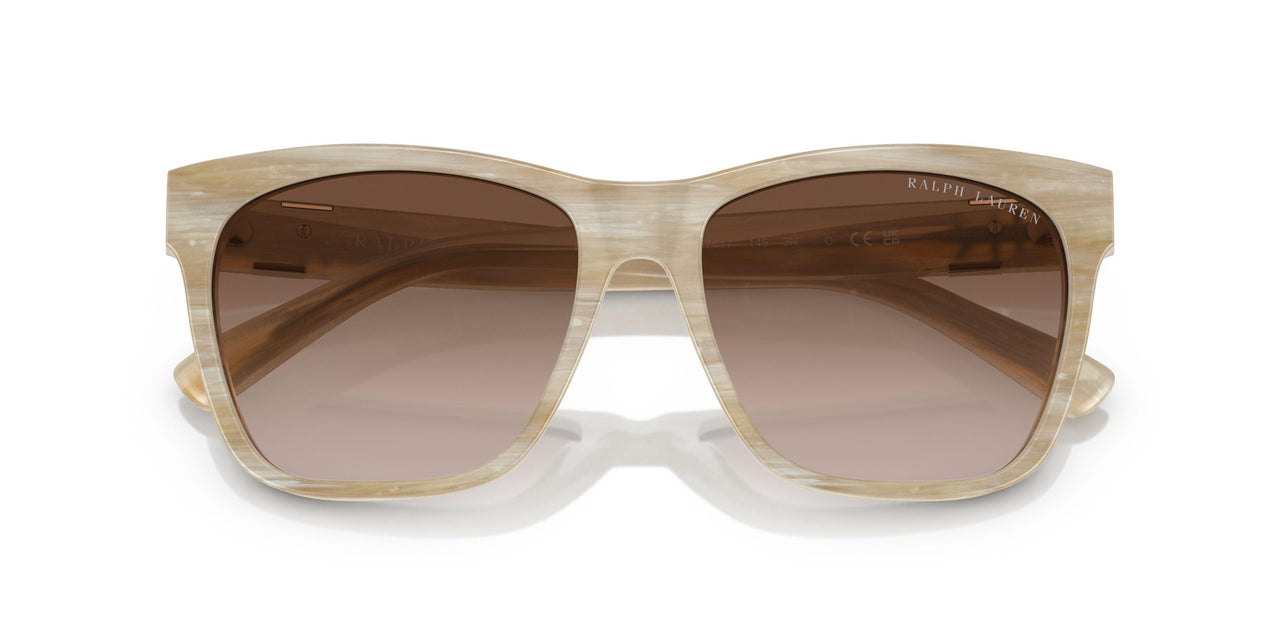 604813 - Tortoise - Gradient Brown