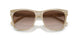 604813 - Tortoise - Gradient Brown