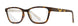 WSSRN04 Gloss Brown Demi/Champagne