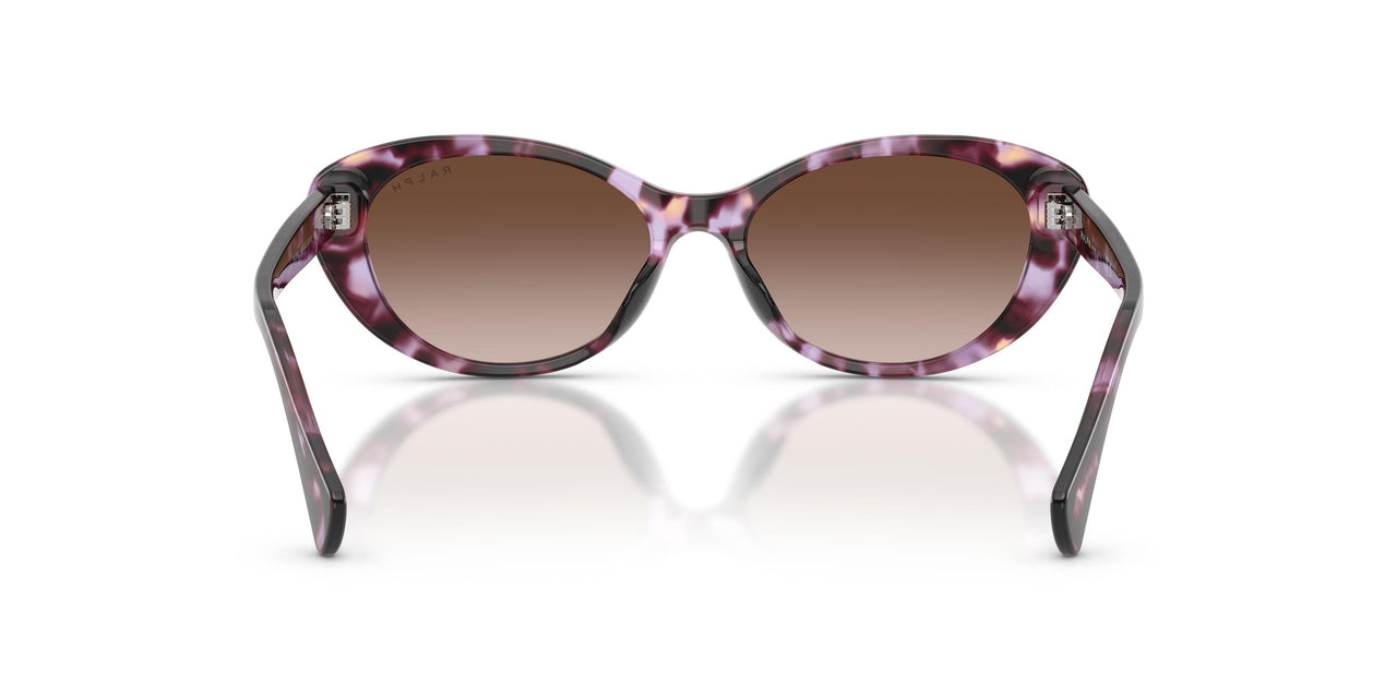634213 - Violet - Gradient Brown