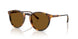 513483 - Havana - Polar Brown