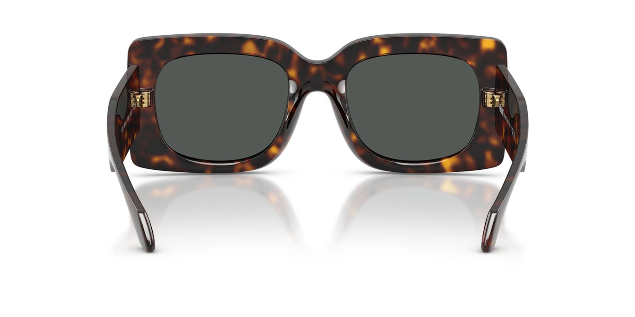 108/87 - Tortoise - Dark Grey