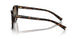 2AU6E1 - Tortoise - Polar Brown Gradient