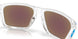 948707 - Transparent - Prizm Sapphire Polarized