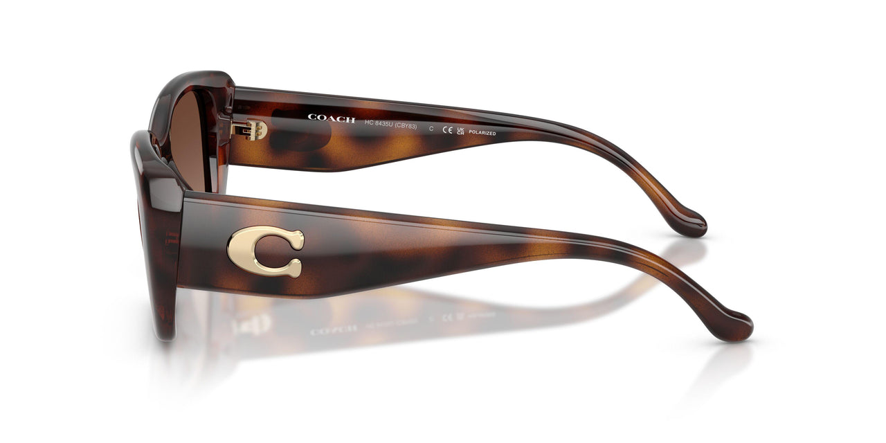 5120T5 - Tortoise - Brown Gradient Polar
