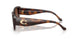 5120T5 - Tortoise - Brown Gradient Polar