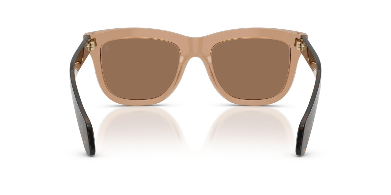 303773 - Brown - Dark Brown