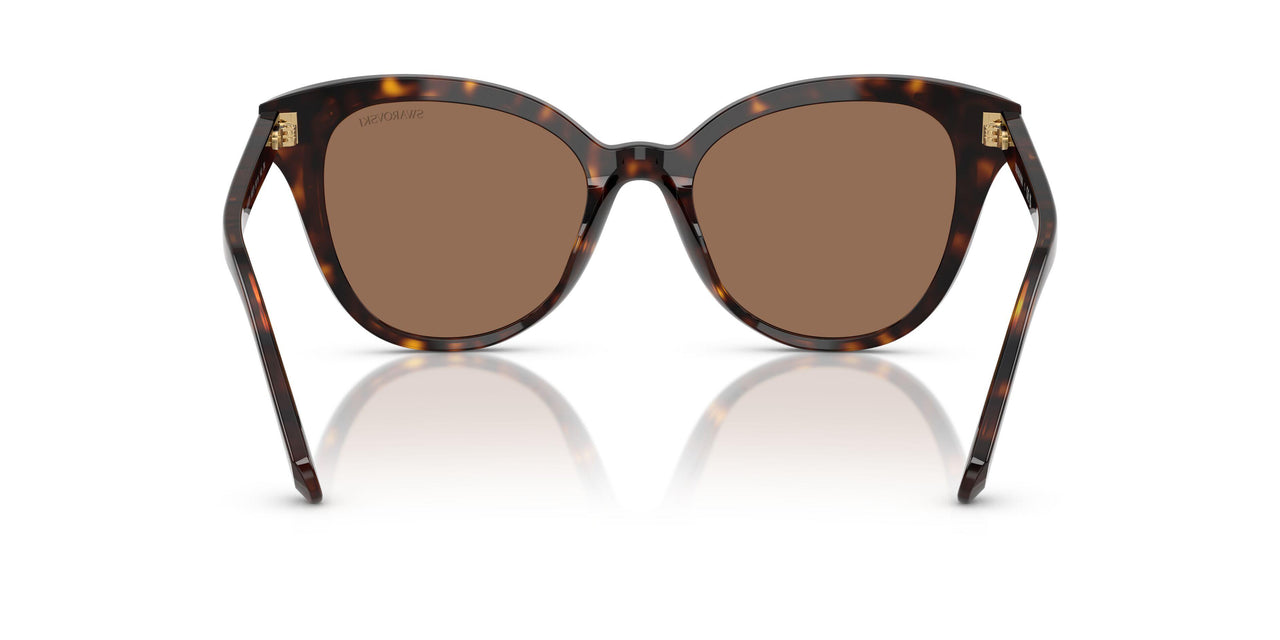 100273 - Brown - Dark Brown