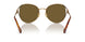 7OE01T - Gold - Dark Brown
