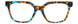 TBL - Tortoise/Blue
