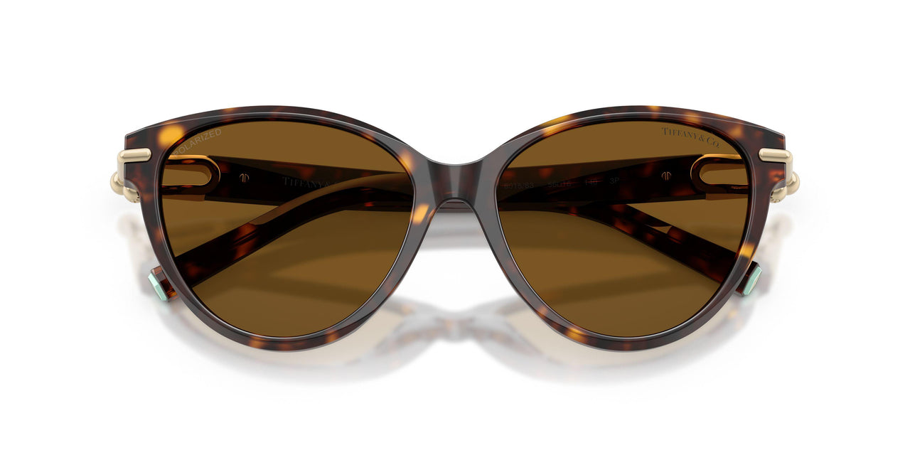 801583 - Tortoise - Dark Brown Polar