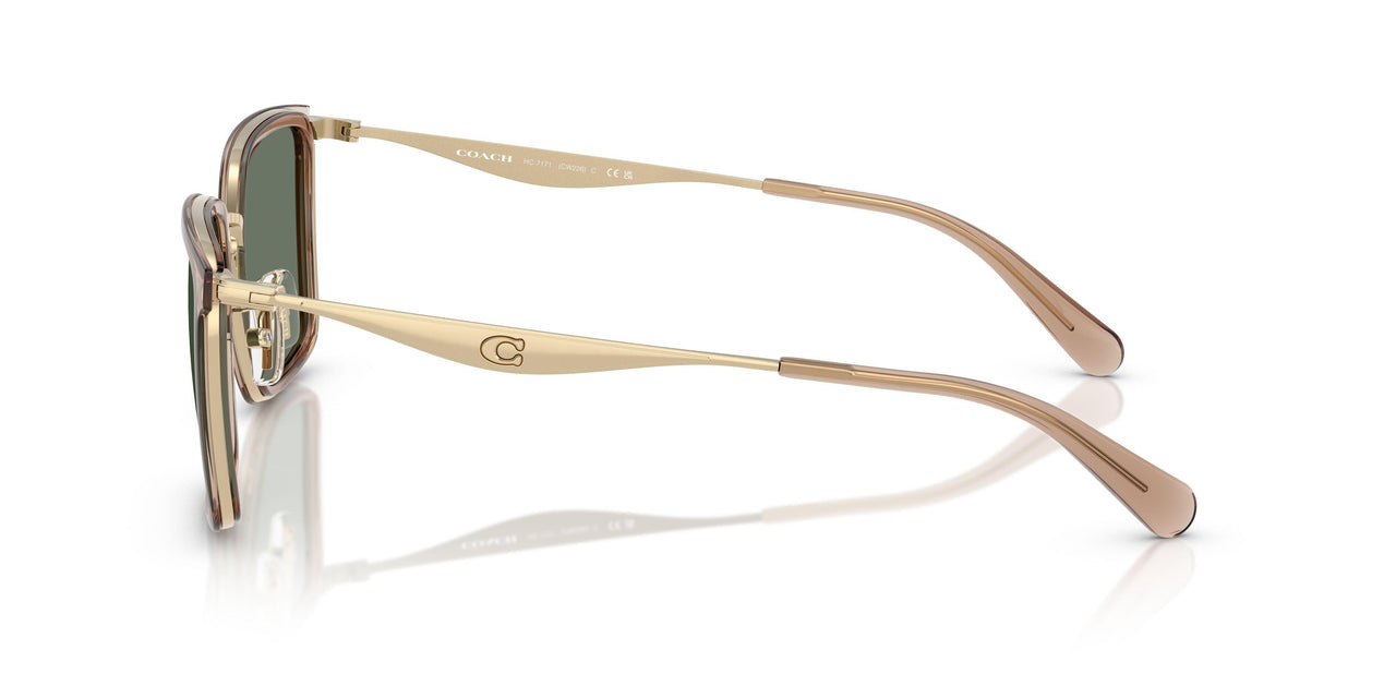 94563H - Brown - Green Solid