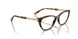 W656 - Brown