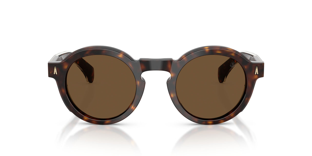 300273 - Tortoise - Solid Brown