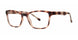 BRWNMTTTRTS - Brown Matte Tortoise
