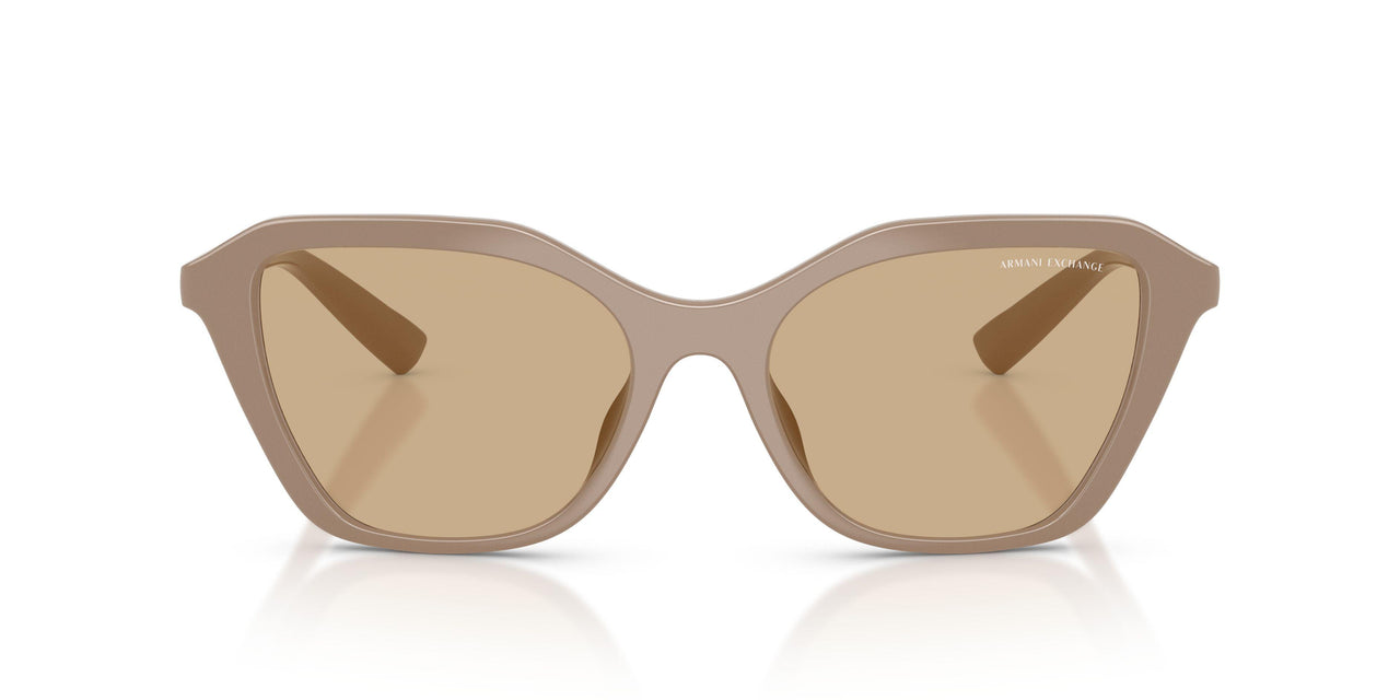 841573 - Brown - Dark Brown