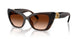 108474 - Brown - Brown Gradient
