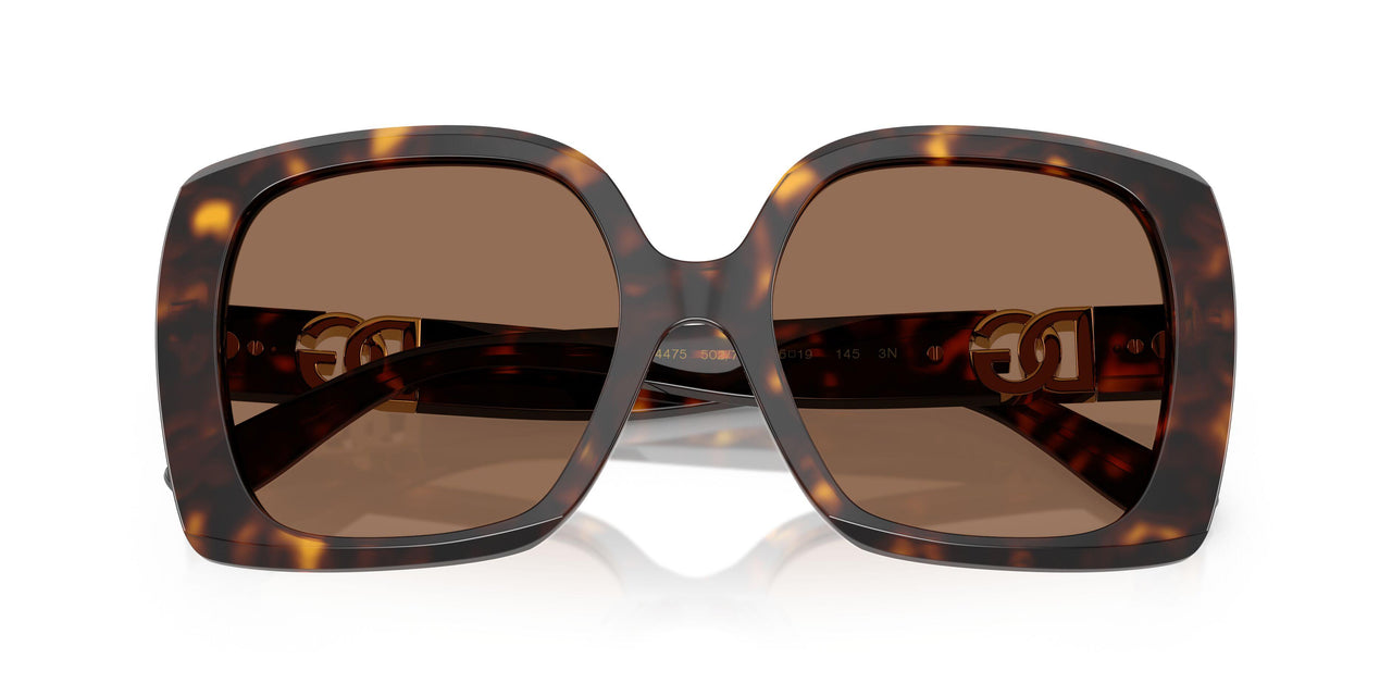 502/73 - Tortoise - Dark Brown
