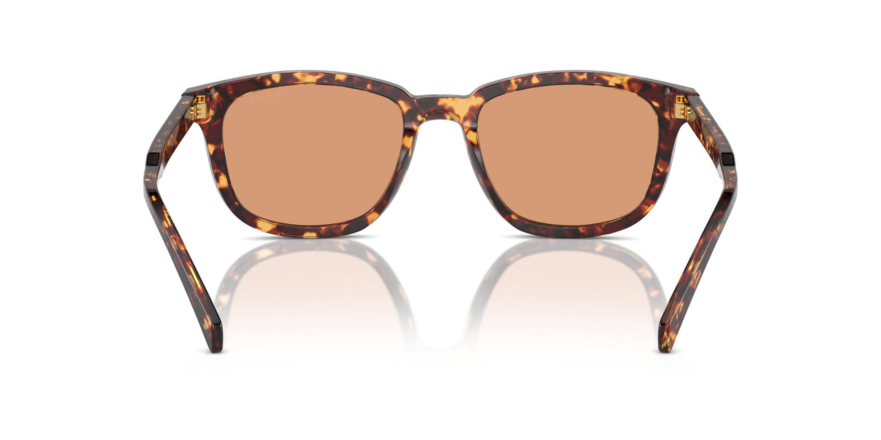 14O07V - Tortoise - Orange
