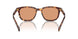 14O07V - Tortoise - Orange