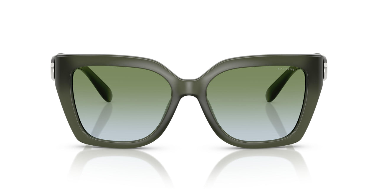 584017 - Green - Moss Aqua Gradient