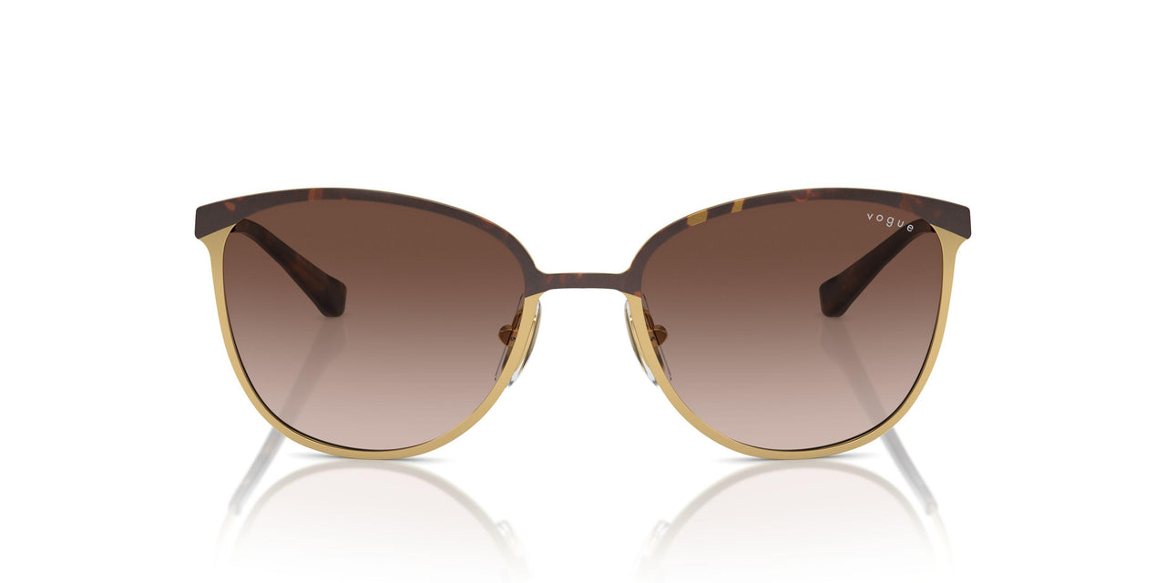 507813 - Brown - Gradient Brown