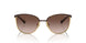 507813 - Brown - Gradient Brown