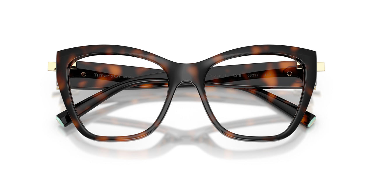 8015 - Tortoise