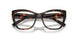 8015 - Tortoise