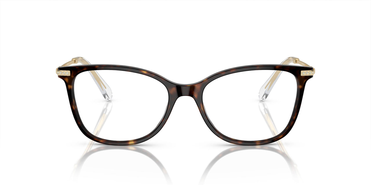 1002 - Brown