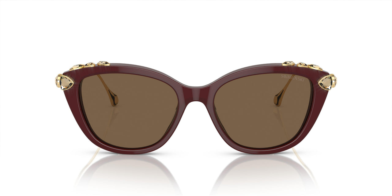 105673 - Violet - Dark Brown