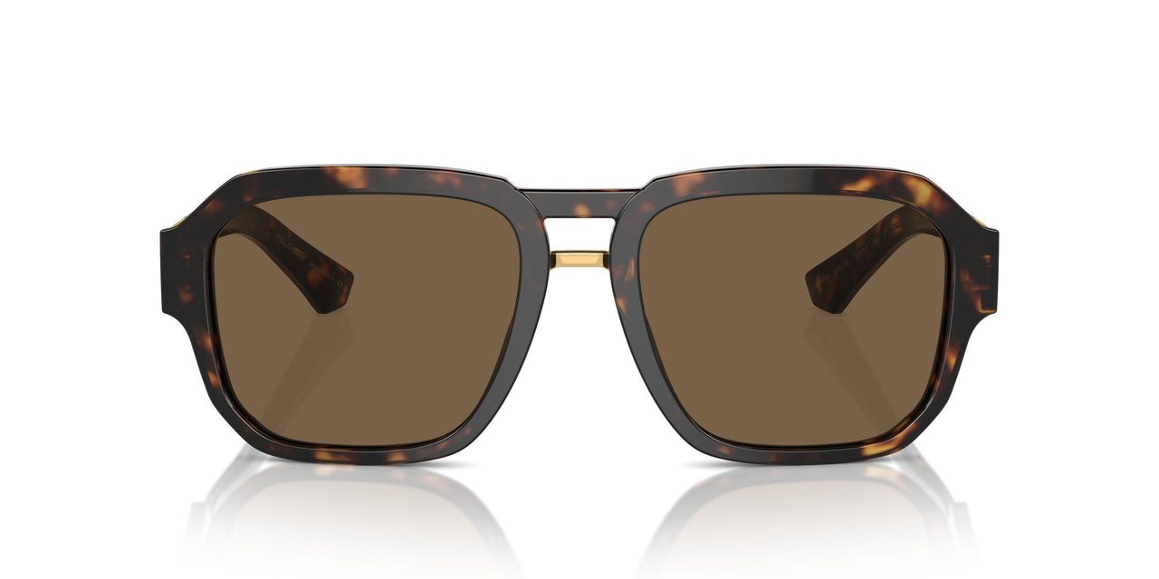 502/73 - Tortoise - Dark Brown