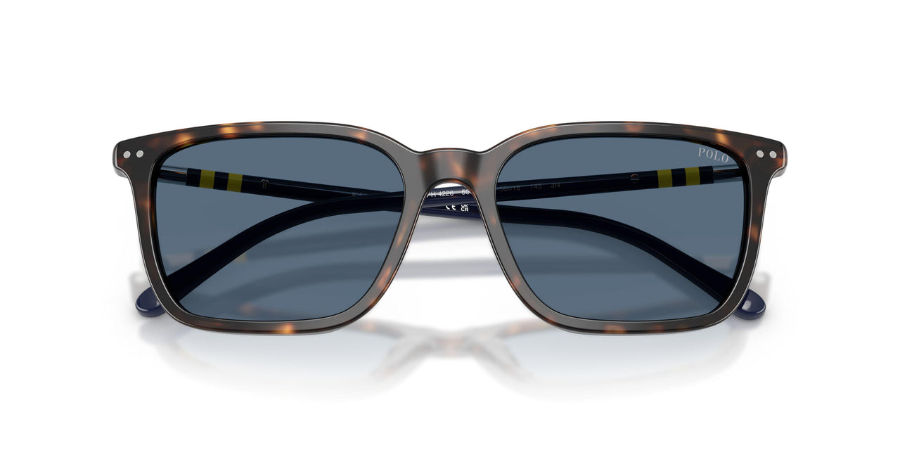 500380 - Tortoise - Dark Blue