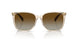 6072T5 - Brown - Polar Gradient Brown