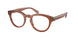 Polo 2262 Eyeglasses