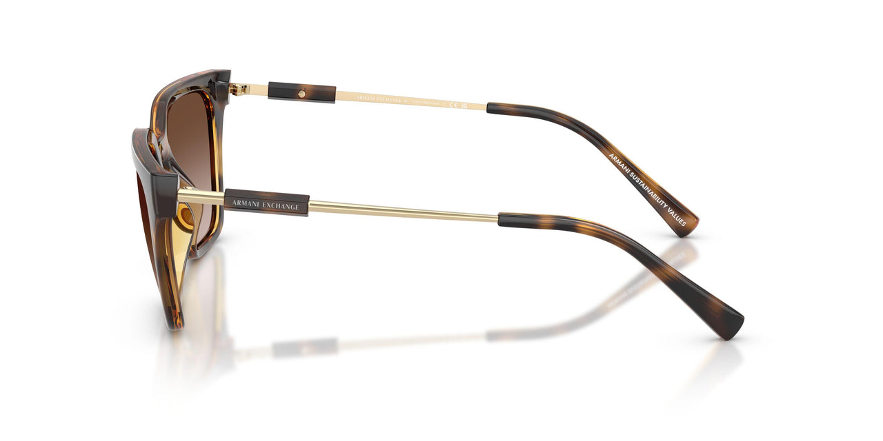 821313 - Tortoise - Gradient Brown
