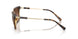 821313 - Tortoise - Gradient Brown