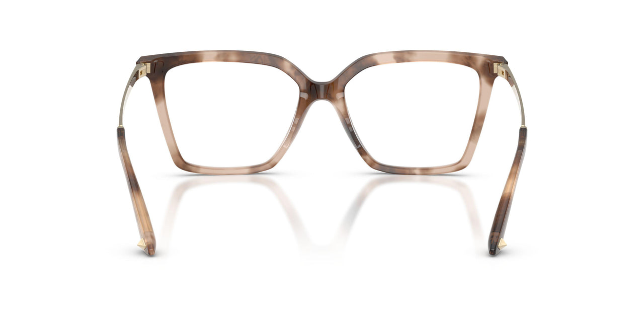 5097 - Tortoise
