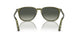 114271 - Green - Light Grey Gradient Dark Grey