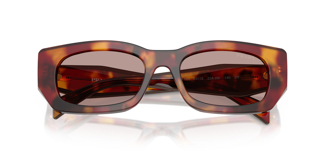 22A20I - Tortoise - Light Purple Brown