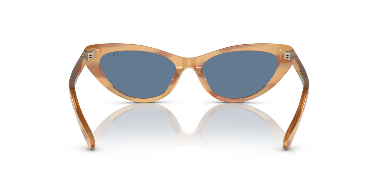 607980 - Brown - Blue