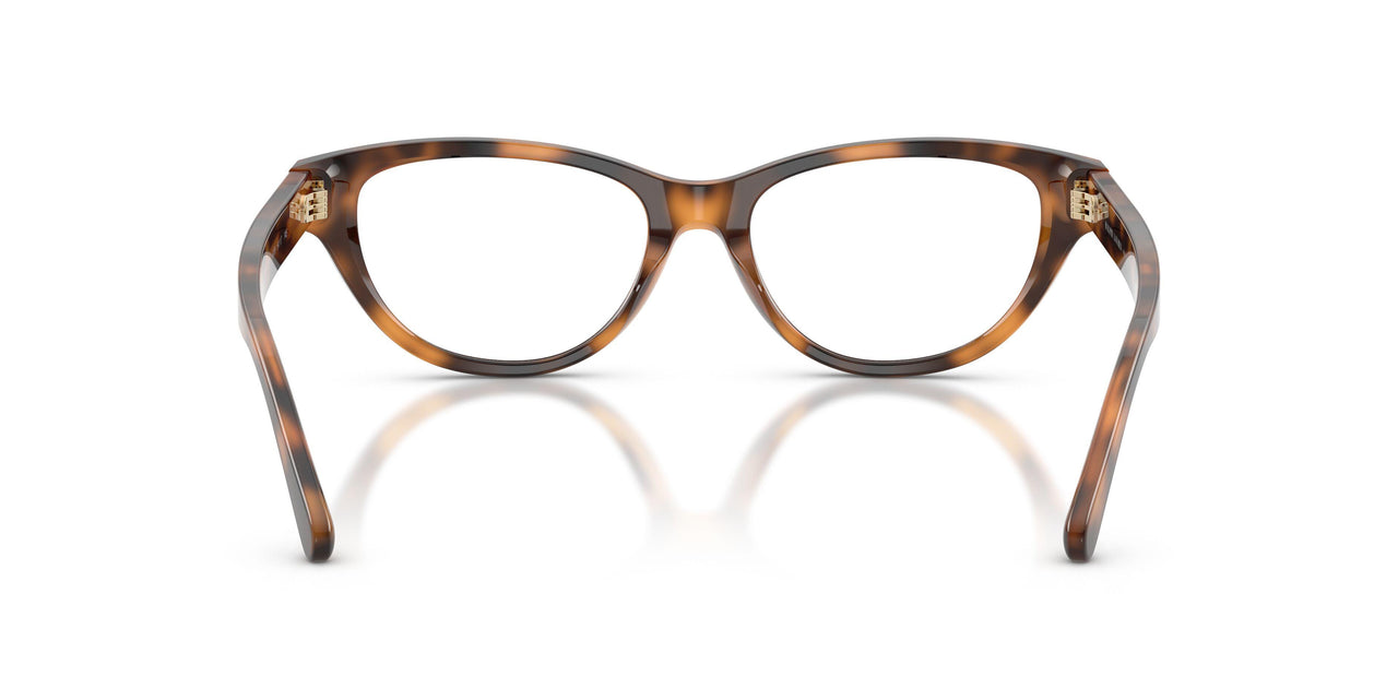 6089 - Tortoise