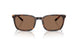 616173 - Tortoise - Dark Brown