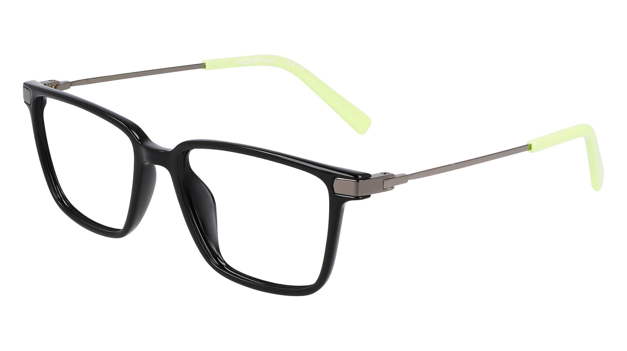 Flexon J4017 Eyeglasses